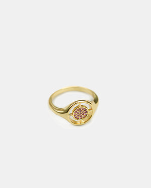 Compass Ring - Gold & Pink